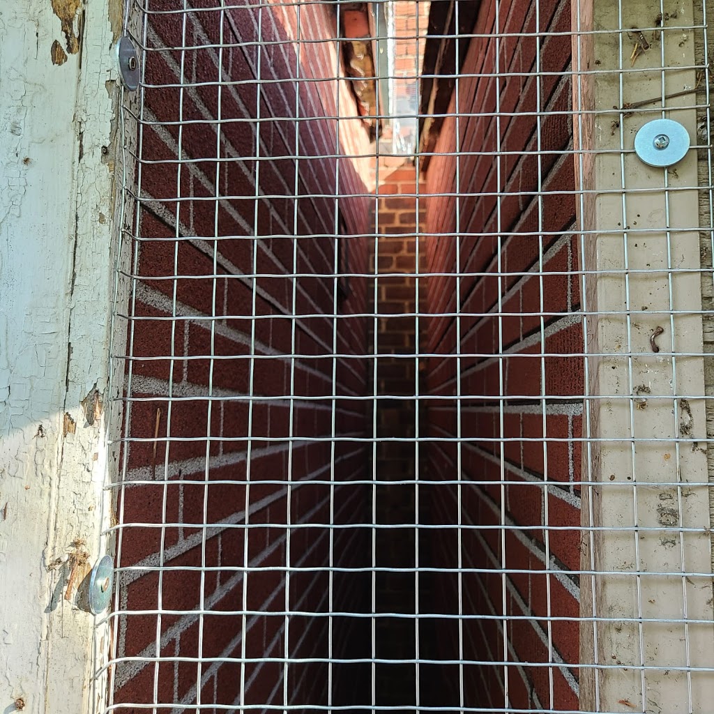Craig Wildlife Control | 69 Lake Shore Dr #3, Etobicoke, ON M8V 1Z5, Canada | Phone: (416) 574-6356