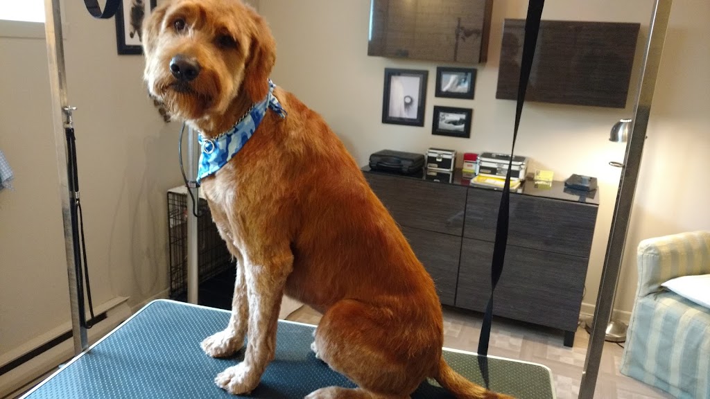 Aux Belles Gueules - Toilettage pour Chiens Petits et Moyens | 624 Rue Sainte-Famille, Contrecoeur, QC J0L 1C0, Canada | Phone: (450) 846-2864