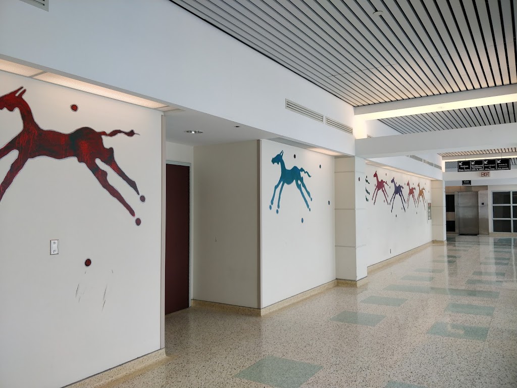 The Ottawa Hospital Riverside Campus | 1967 Riverside Dr., Ottawa, ON K1H 7W9, Canada | Phone: (613) 798-5555