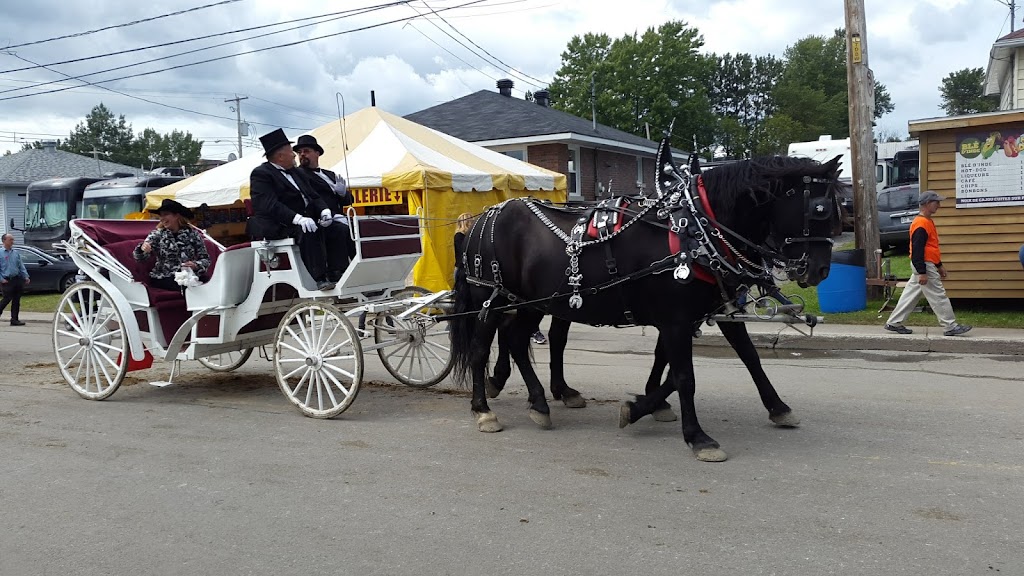 Festival Western St-Tite | 581 Rue St Paul bureau 107, Saint-Tite, QC G0X 3H0, Canada | Phone: (418) 365-7524