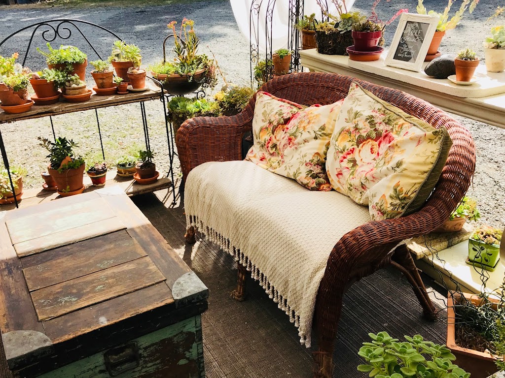 Whiskey Creek Farm | 1229 Walz Rd, Qualicum Beach, BC V9K 2S8, Canada | Phone: (250) 752-3082