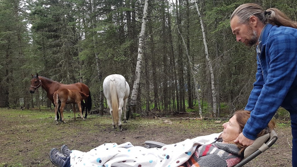 Dehaanimal Wellness | 214 Ave W, Bragg Creek, AB T0L 0K0, Canada | Phone: (403) 949-2378