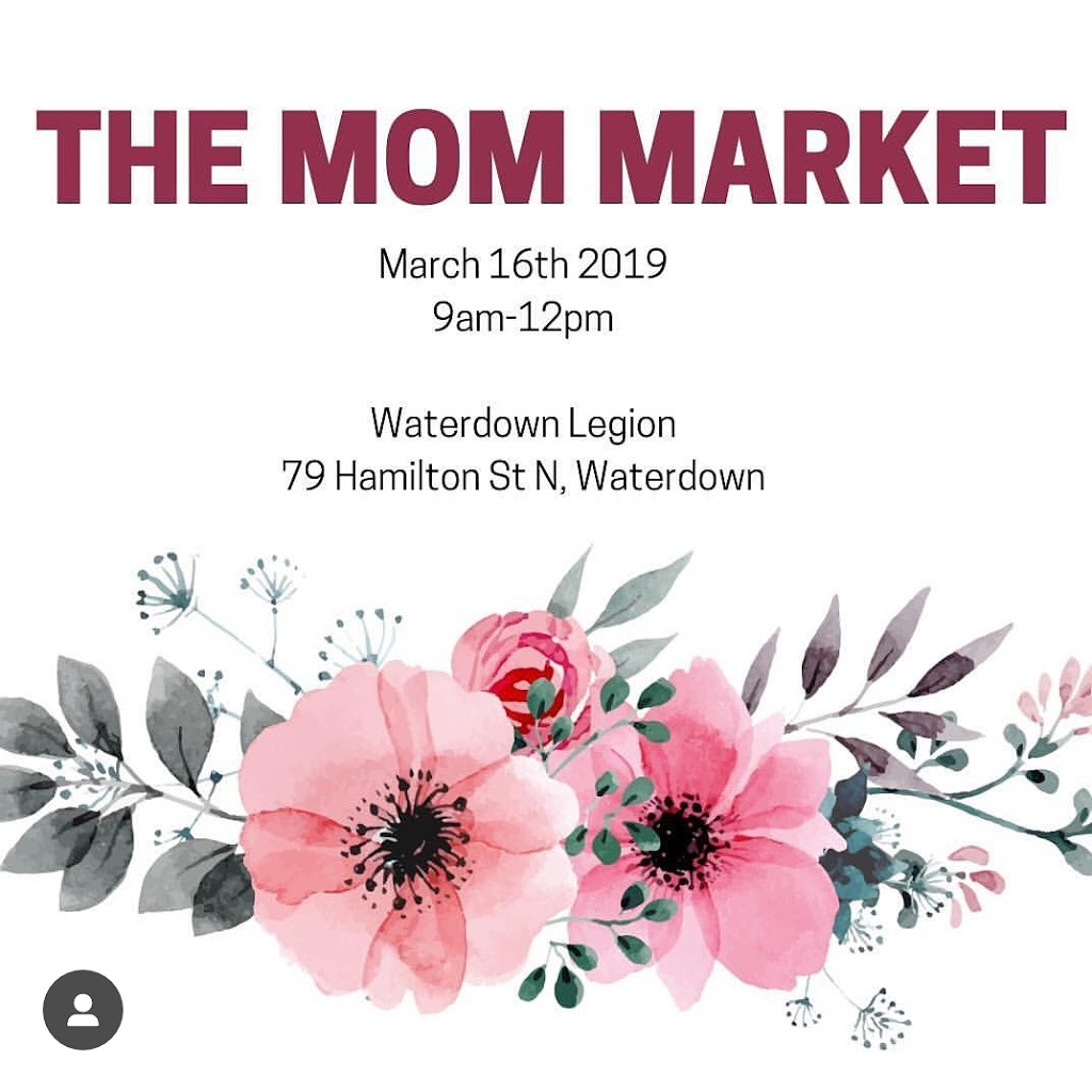 The Mama Coach - Lisa | 42 Webster St, Dundas, ON L9H 4Z6, Canada | Phone: (905) 537-5550