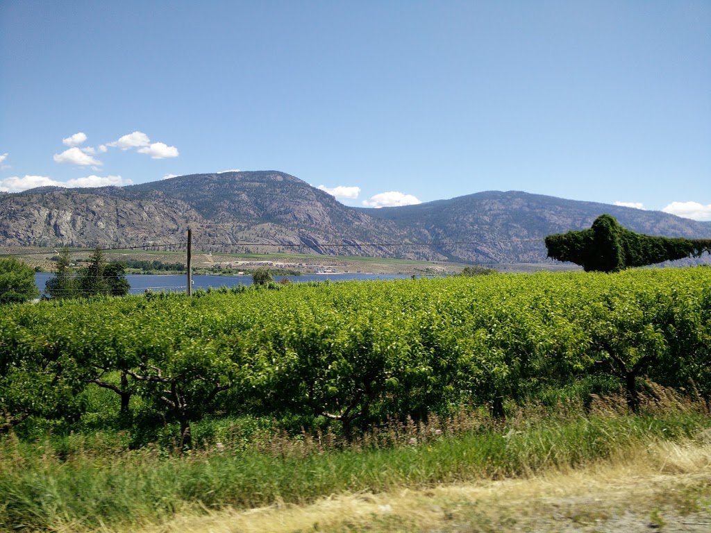 Peach Hill Farm Market | 9105 Okanagan Hwy, Osoyoos, BC V0H 1V2, Canada | Phone: (250) 495-5060