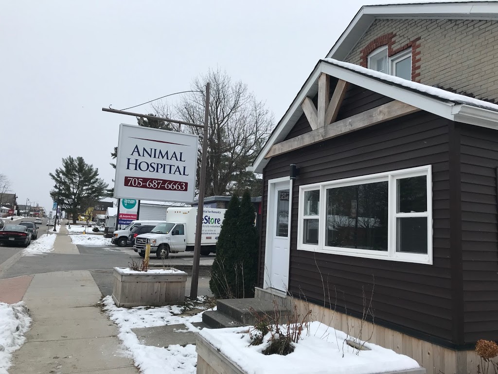 Animal Hospital | 571 Muskoka Rd N, Gravenhurst, ON P1P 1E7, Canada | Phone: (705) 687-6663