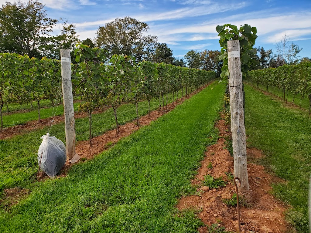 Matos Winery & Distillery | 3156 West River Road, Rte 9, Saint Catherines, PE C0A 1H1, Canada | Phone: (902) 675-9463