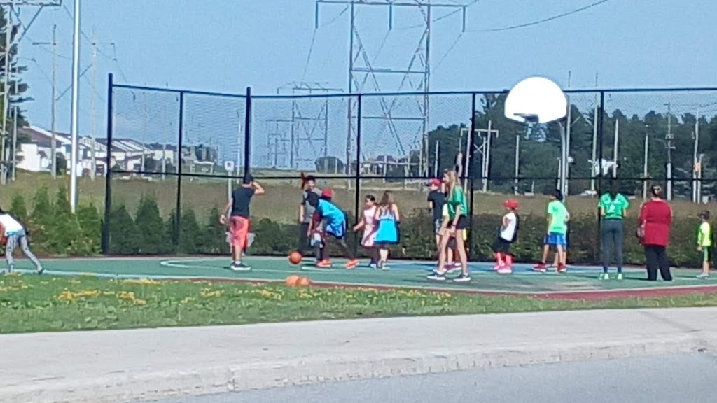 Innovation Skateboard Park | 4101 Innovation Dr, Kanata, ON K2K 0J3, Canada | Phone: (613) 580-9696