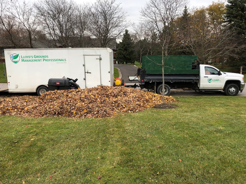 LGMP - Lloyd’s Grounds Management Professionals | 1893 Durham Regional Rd 3, Hampton, ON L0B 1J0, Canada | Phone: (905) 263-2225