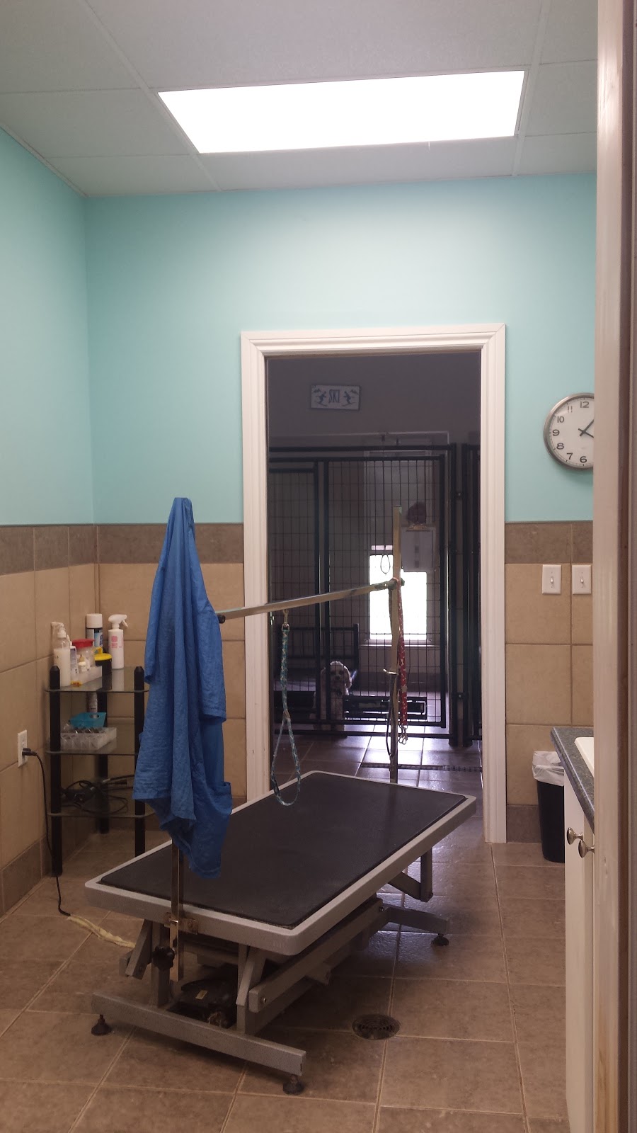 Tails In Trails Pet Resort | 133668 Allan Park, Hanover, ON N4N 3B8, Canada | Phone: (519) 364-3311