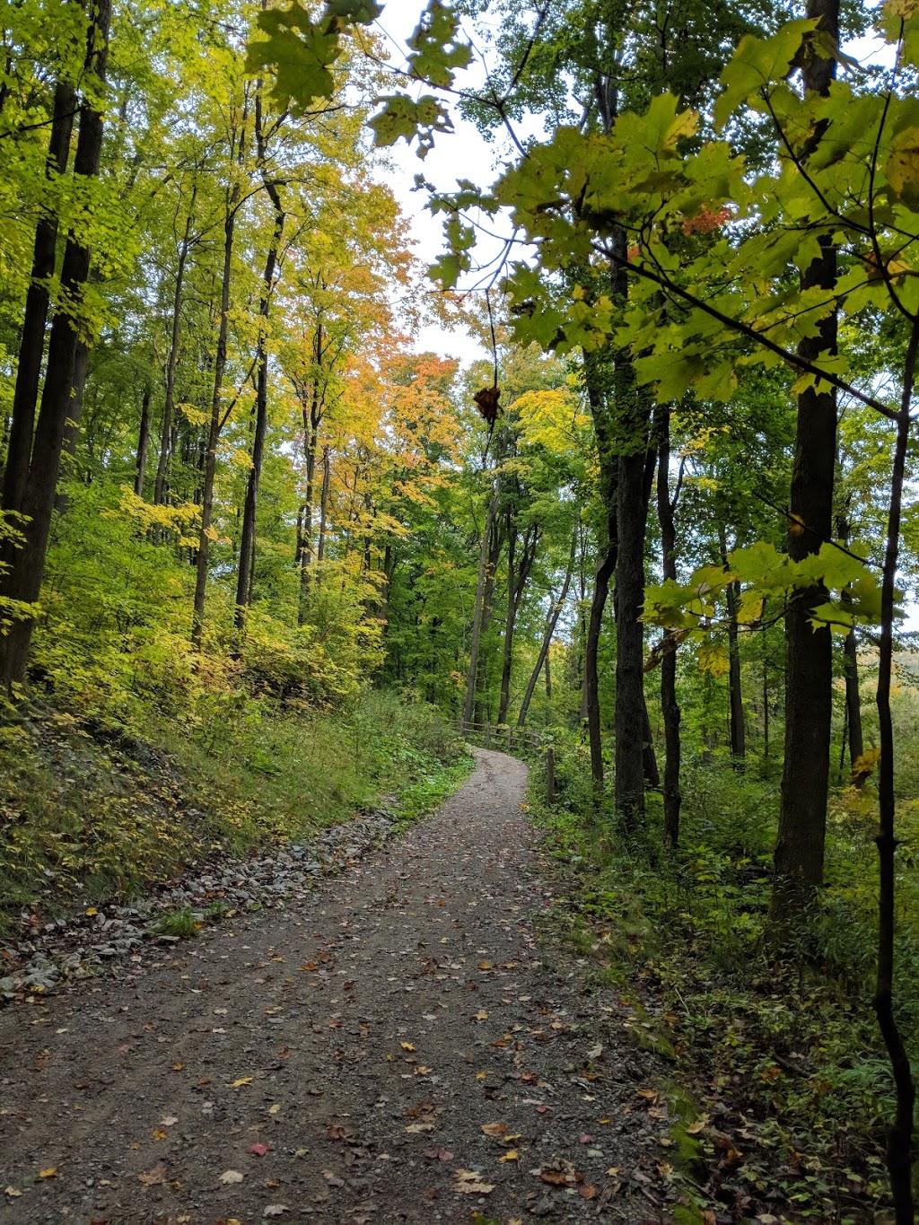 Jefferson Forest | Stouffville Rd, Richmond Hill, ON L4E 5B4, Canada