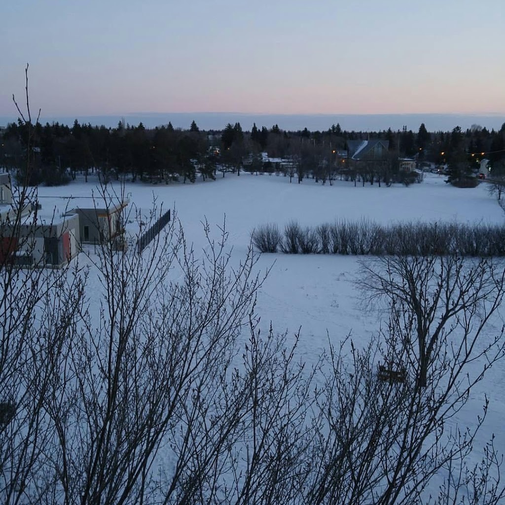 University Community Garden | Mceown Pl, Saskatoon, SK S7N 2R6, Canada