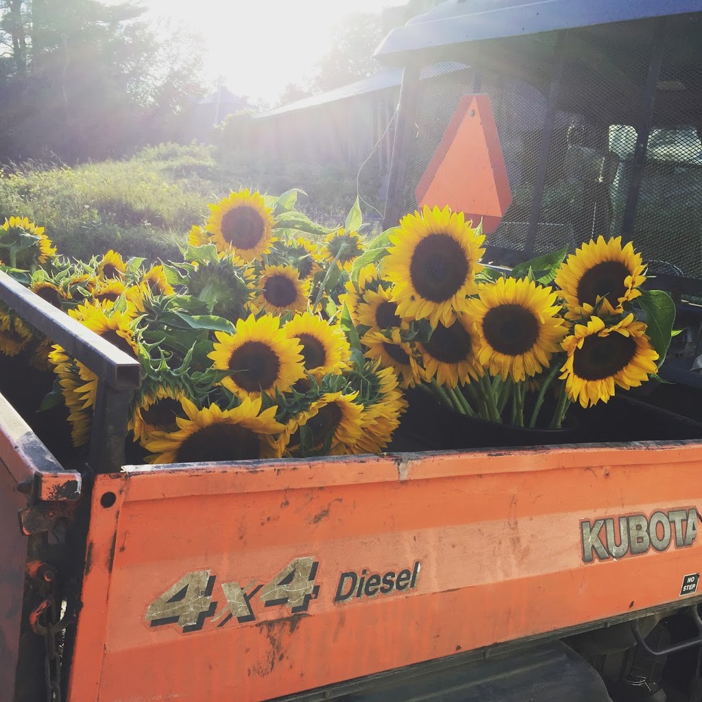 McNiven Farms | 2943 Line, 7 Line N, Oro-Medonte, ON L0L 2E0, Canada | Phone: (705) 330-1652