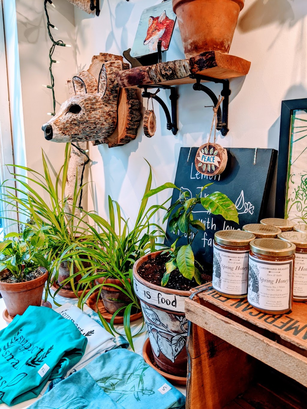 Cardboard Reality Farm & Studio | 157 Crosby Rd, Roseneath, ON K0K 2X0, Canada | Phone: (647) 642-6276
