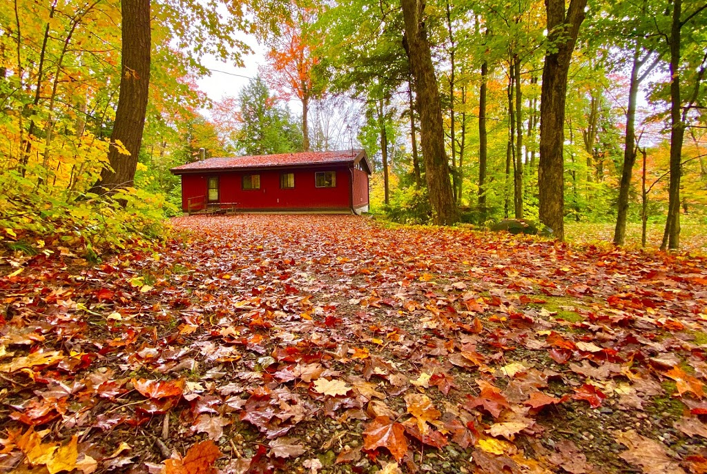 Sunny Point Resort | 41 Sunny Point Rd, Parry Sound, ON P2A 2W8, Canada | Phone: (705) 378-2505