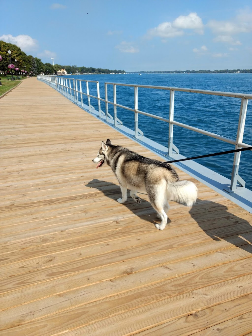 Palmer Park and Boardwalk | 200 N Riverside Ave, St Clair, MI 48079, USA | Phone: (810) 329-7121