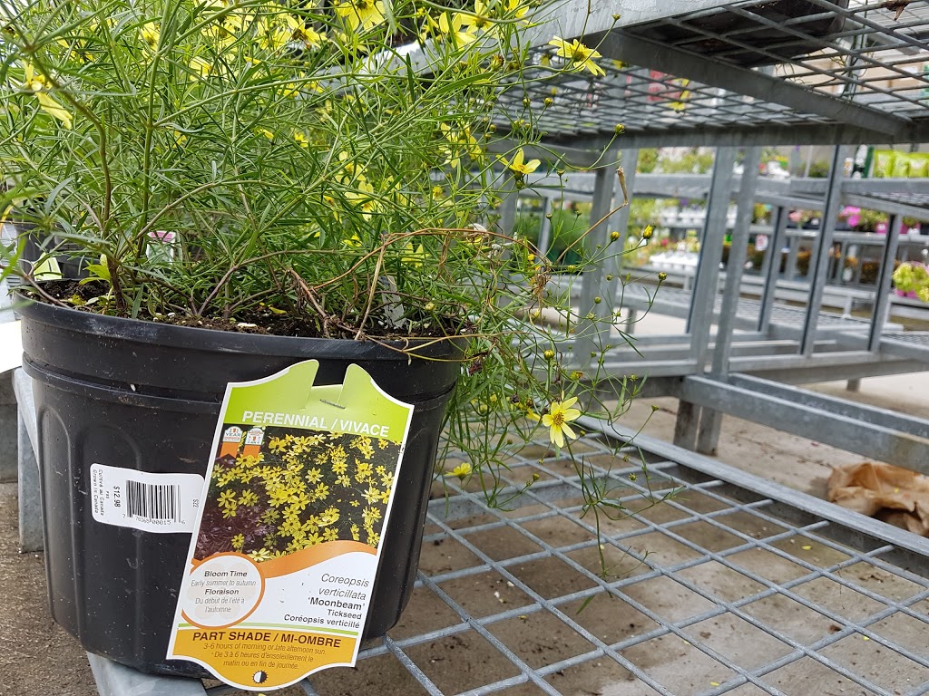 The Home Depot | 3225 Monarch Dr, Orillia, ON L3V 7Z4, Canada | Phone: (705) 327-6500