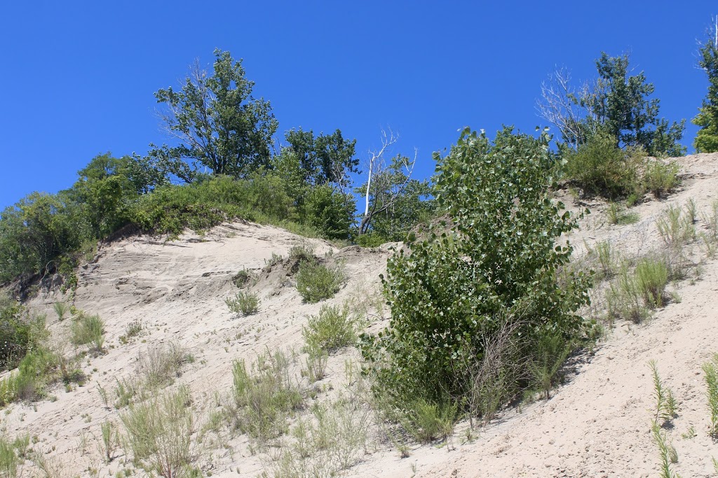 Sand Hill Park | 930 Lakeshore Rd, Port Burwell, ON N0J 1T0, Canada | Phone: (519) 586-3891
