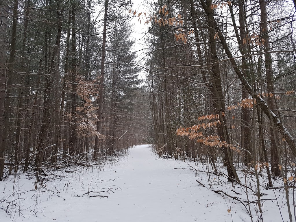 Jefferson Forest | Stouffville Rd, Richmond Hill, ON L4E 5B4, Canada
