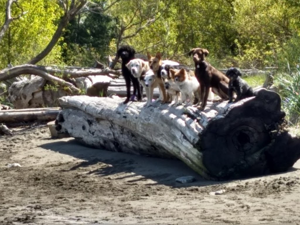 McDonald Beach Park | 3500 McDonald Rd, Richmond, BC V7B 1M4, Canada | Phone: (604) 276-4000