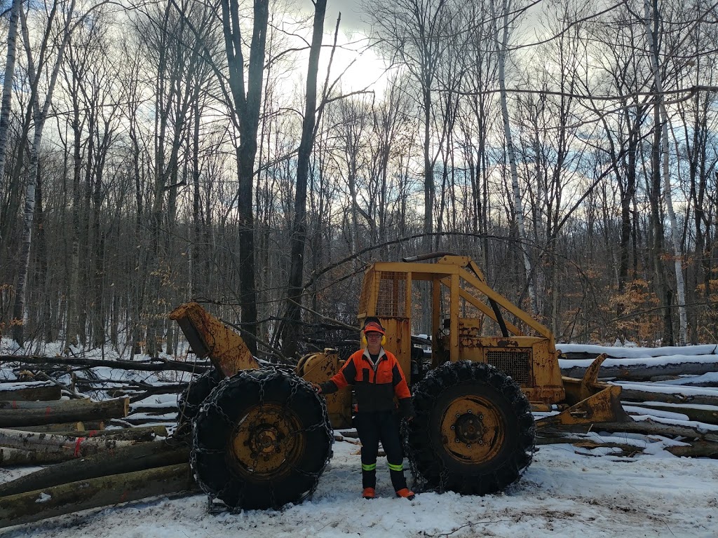 Jean-Luc Paquin Ingénieur forestier | 4970 Chemin du Lac, Saint-Gabriel-de-Brandon, QC J0K 2N0, Canada | Phone: (450) 898-1167