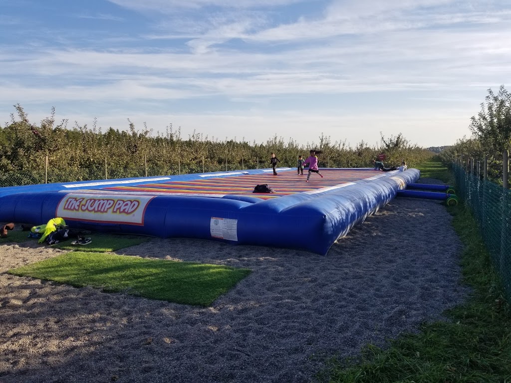 Thiessen Apple Orchard | 400 Talbot Rd E, Leamington, ON N8H 3V6, Canada | Phone: (519) 326-5282