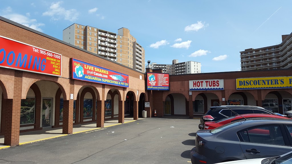 Big Als Pet Supercentres | 140 Centennial Pkwy N, Hamilton, ON L8E 1H9, Canada | Phone: (905) 560-1000