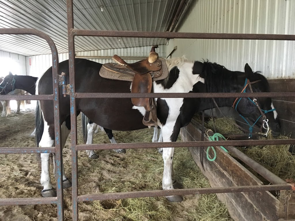 Miracle Ranch | 650830Lorne Hill Road, Winnipeg, MB R2C 2Z2, Canada | Phone: (204) 224-1180