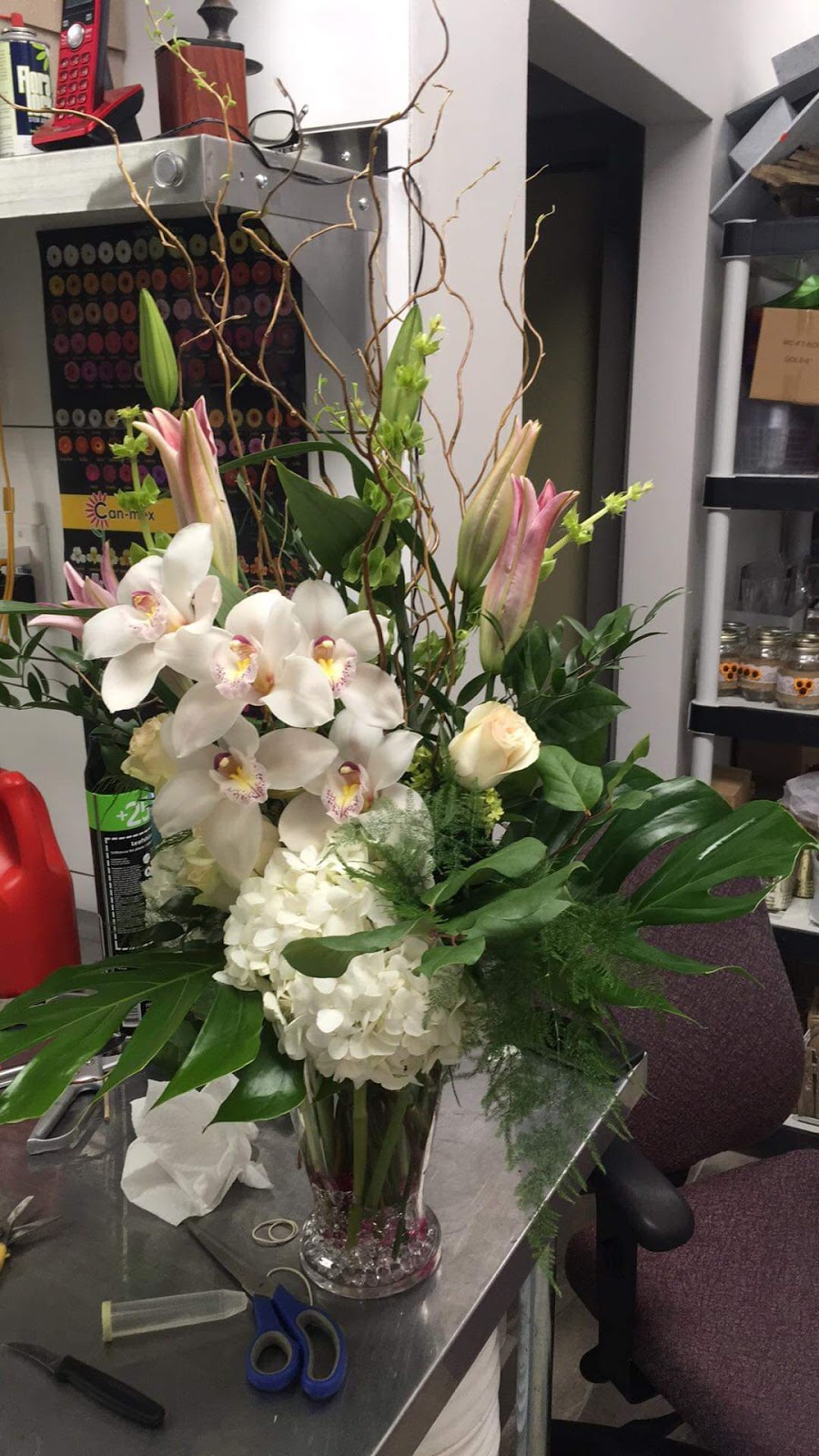 Lola Urns It | 450 Matheson Blvd E Suite 56, Mississauga, ON L4Z 1R5, Canada | Phone: (905) 568-5204