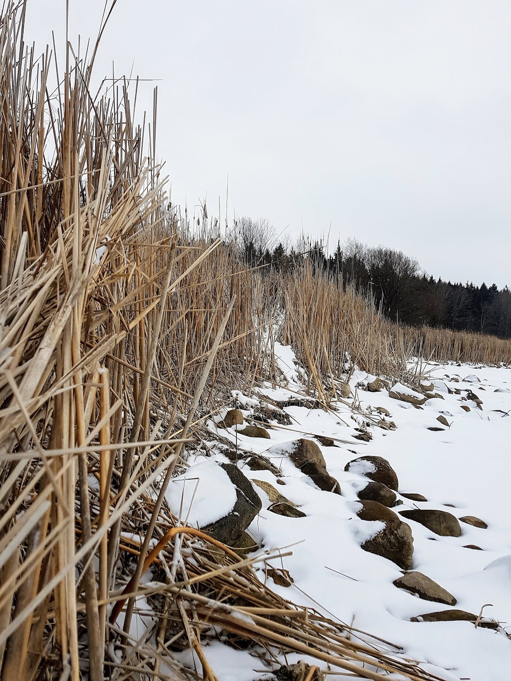 Roth Park | Huron St North, 680 Highland Dr, Woodstock, ON N4S 7G8, Canada