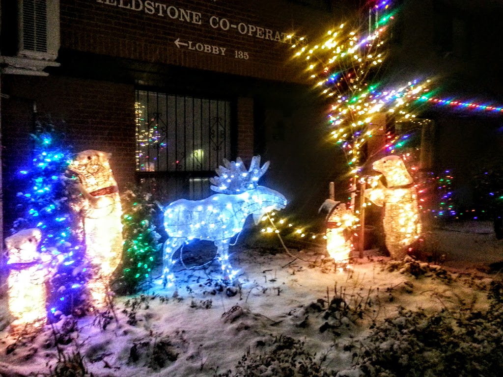 Fieldstone Co-operative Homes Inc. | 135 Bleecker St, Toronto, ON M4X 1X2, Canada | Phone: (416) 968-1853