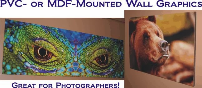 W&T Signs | 433 Rennie St, Hamilton, ON L8H 3P6, Canada | Phone: (289) 389-8300