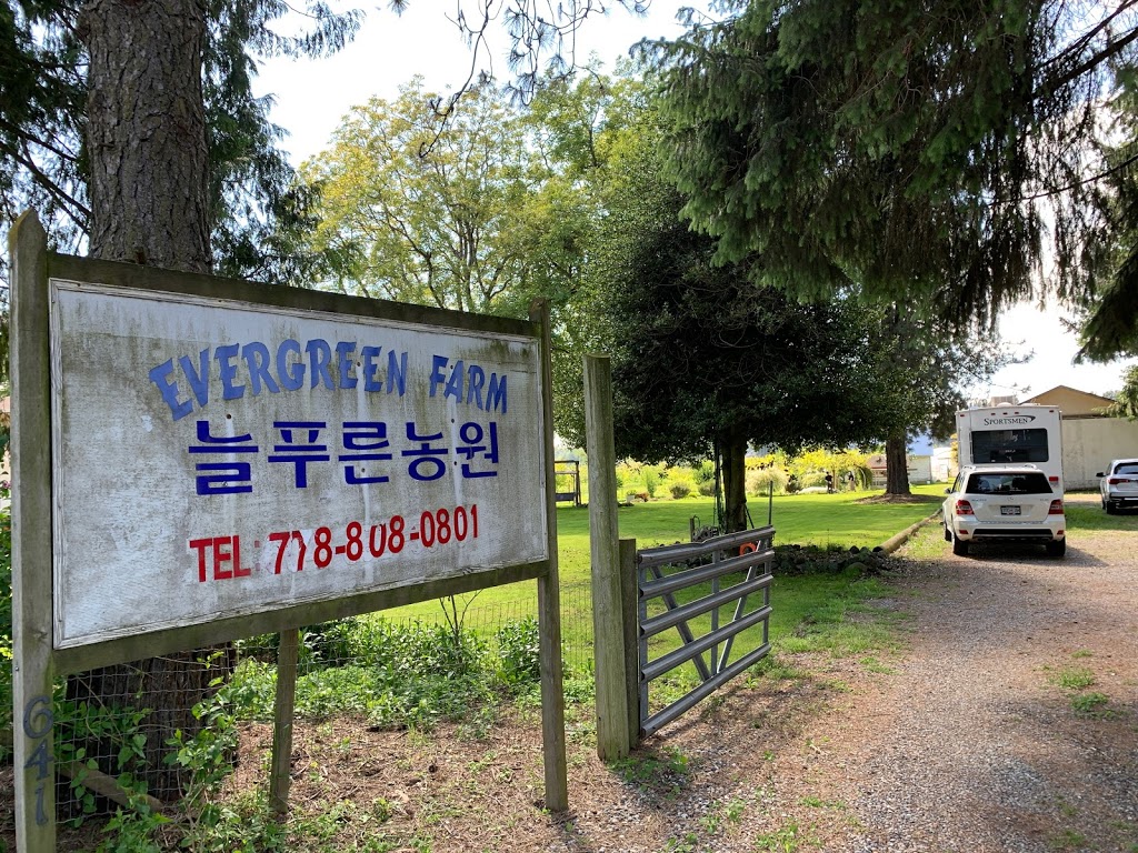 늘푸른농원 Evergreen Farm | 641 McCallum Rd, Abbotsford, BC V2S 8A1, Canada | Phone: (778) 808-0801
