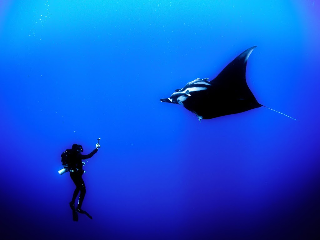 Scuba Diving Instructor | 107-5710 Teredo St - VO#2, Sechelt, BC V0N 3A0, Canada | Phone: (778) 989-8420