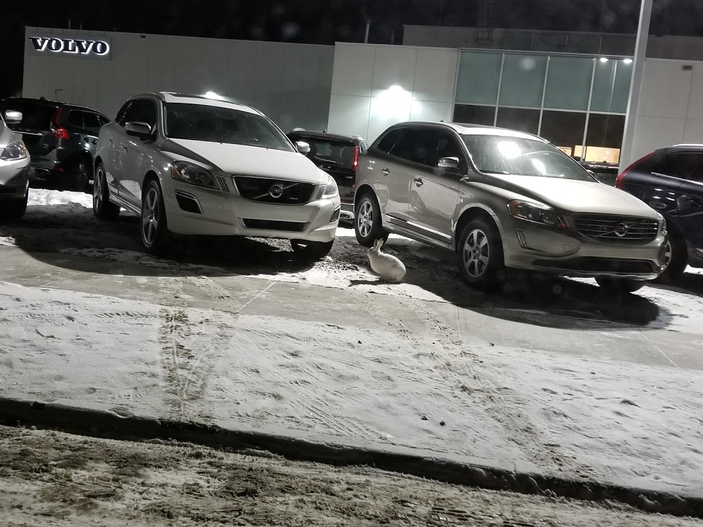 Volvo of Edmonton | 1205 101 St SW, Edmonton, AB T6X 1A1, Canada | Phone: (780) 486-5100