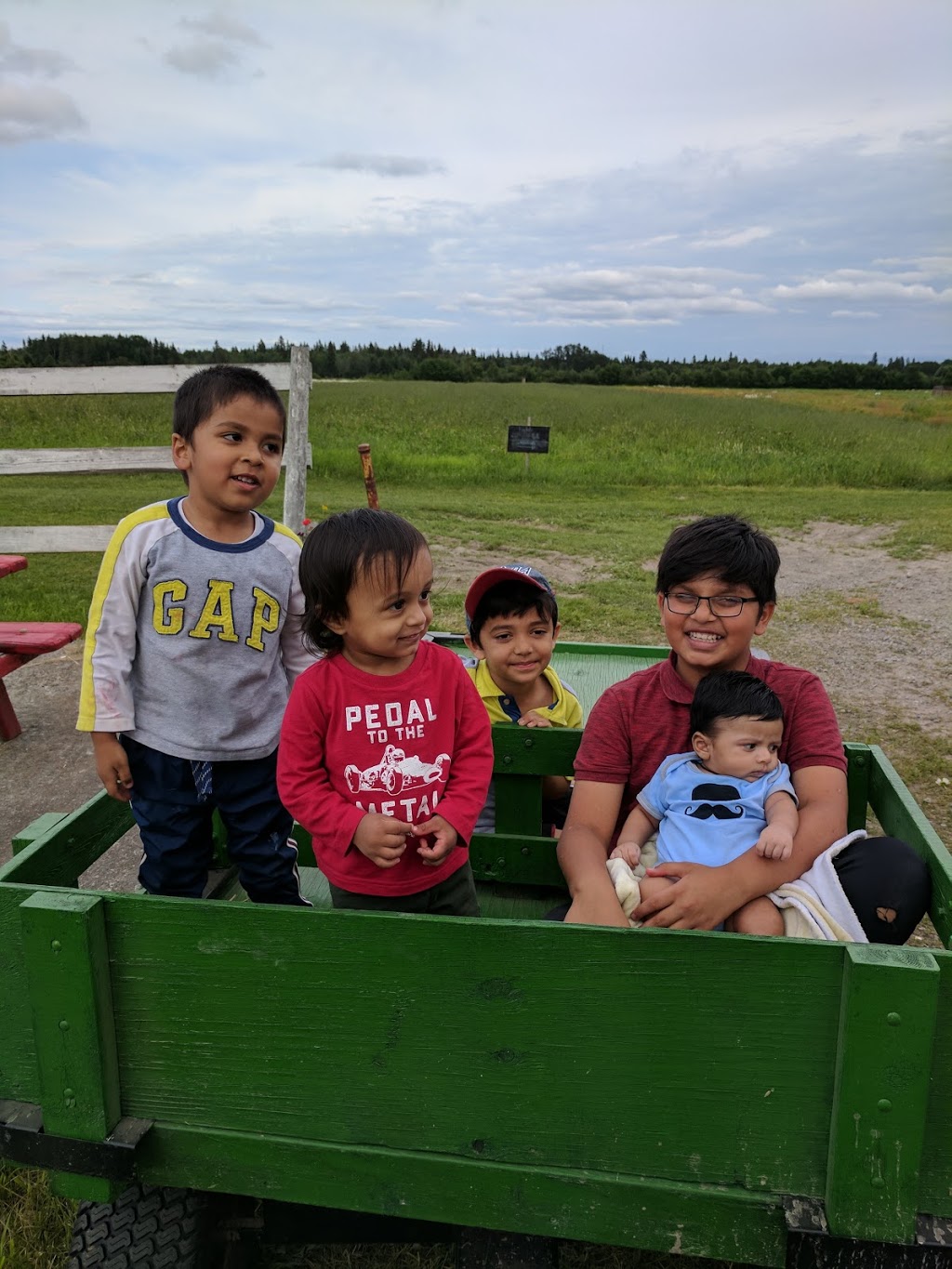 Ruby Berry Farms | 745 Joanette Rd, Chelmsford, ON P0M 1L0, Canada | Phone: (705) 855-9901
