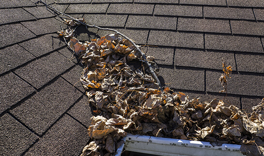 Truro Gutter Services | 503 Robie St, Truro, NS B2N 1M5, Canada | Phone: (902) 710-8079