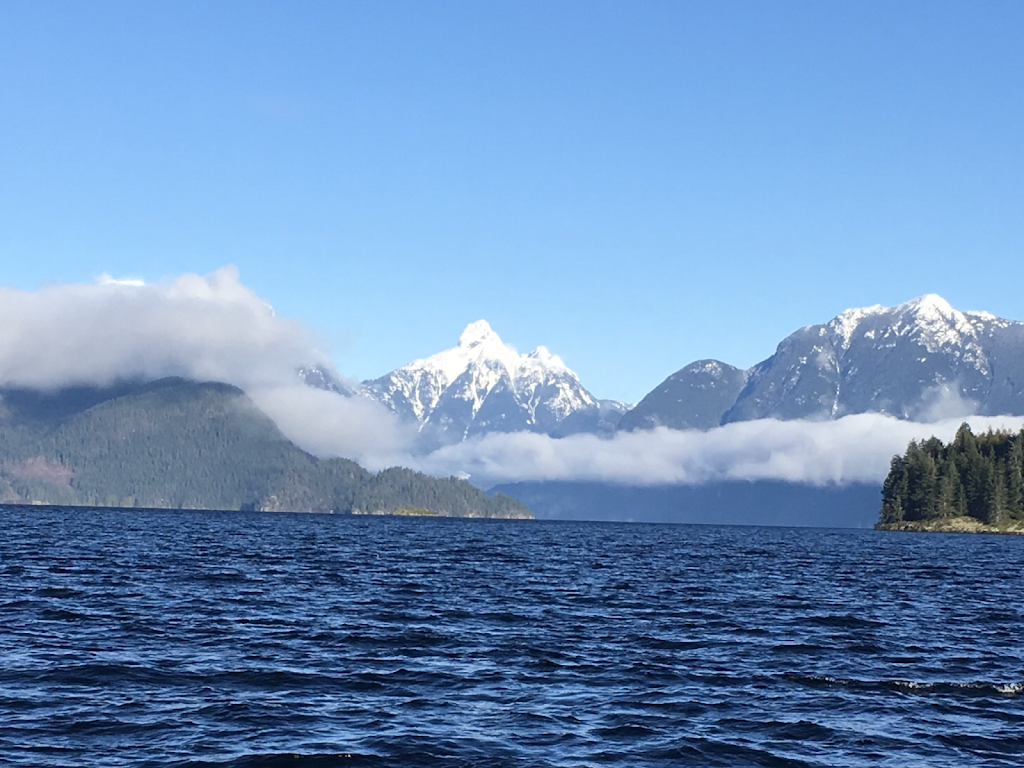 Skookumchuck Boat Tours | 6771 Egmont Rd, Egmont, BC V0N 1N0, Canada | Phone: (604) 883-2066