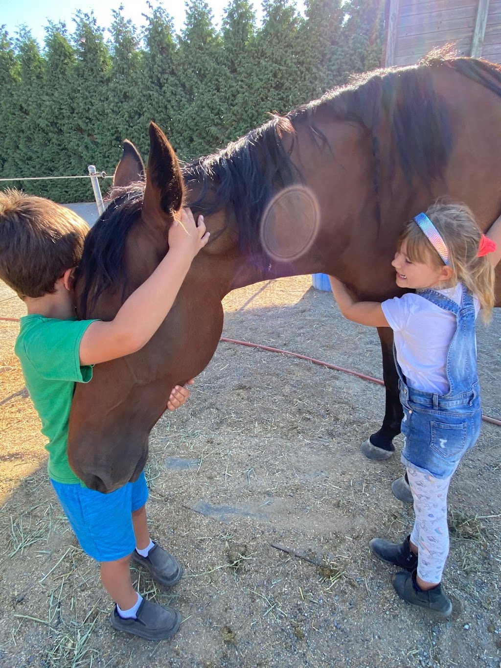 Unbridled Discovery Farm | 36936 McKamey Rd, Fraser Valley, BC V2V 6T1, Canada | Phone: (604) 613-2279