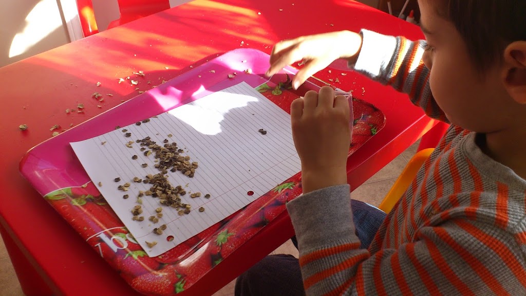 Five Stars Montessori Preschool | 75 Covepark Way NE, Calgary, AB T3K 5T8, Canada | Phone: (403) 650-1594