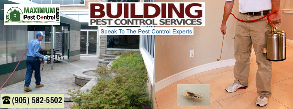 Maximum Pest Control Services | 1860 Appleby Line Suite 430, Burlington, ON L7L 7H7, Canada | Phone: (905) 582-5502