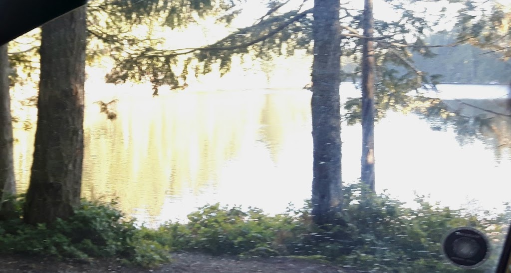 Holmefarm | 2586 Hamm Rd, Black Creek, BC V9J 1B4, Canada | Phone: (250) 337-5710