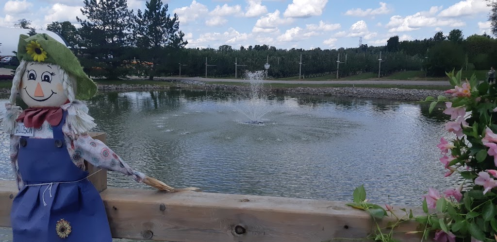 Josmar Acres | 568 Lynden Rd, Lynden, ON L0R 1T0, Canada | Phone: (519) 647-2025
