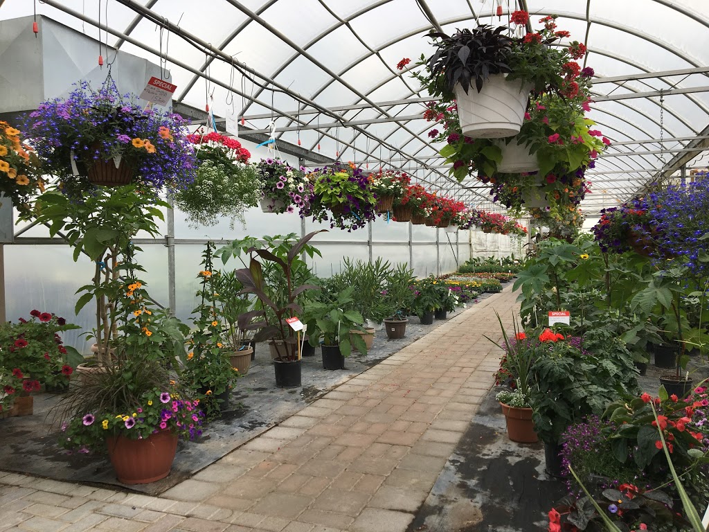 Wells Greenhouses and Landscape Services Inc. | 775486 Blandford Rd, Innerkip, ON N0J 1M0, Canada | Phone: (519) 469-3463