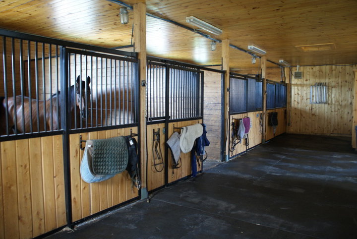 Ferme Tandem | 589 Chemin Stagecoach, Knowlton, QC J0E 1V0, Canada | Phone: (450) 243-6675