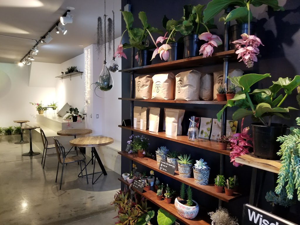 R & G Coffee | 1541 Dundas St W, Toronto, ON M6K 1T6, Canada
