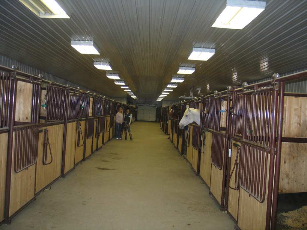 M C Equestrian Centre | 35095 Big Hill Springs Rd, Cochrane, AB T4C 0H4, Canada | Phone: (403) 932-3341