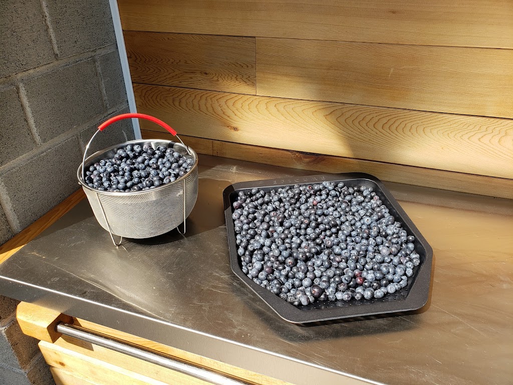 Steld Blueberry Farm | 13605 Michael Rd, Ladysmith, BC V9G 1G7, Canada | Phone: (250) 245-3460