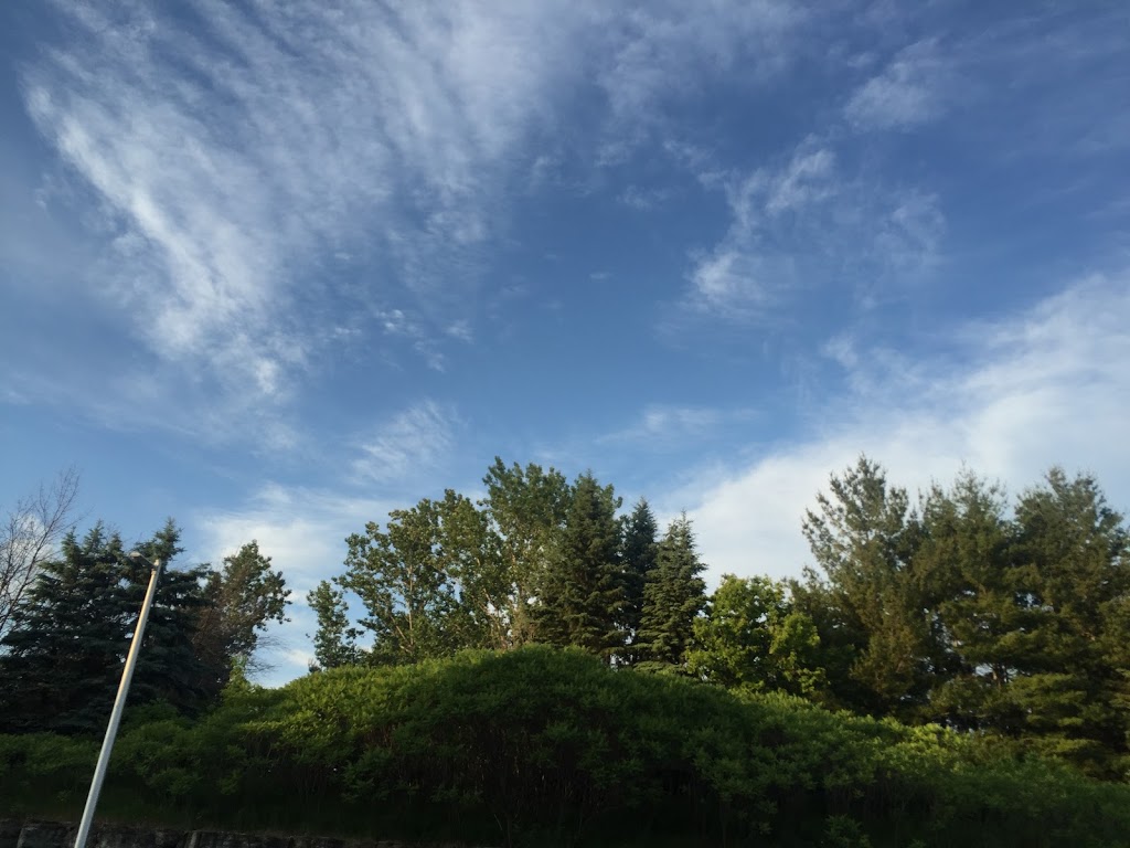 George C Brown Park | 2346 Rembrandt Rd, Ottawa, ON K2B 7P5, Canada | Phone: (613) 580-2595