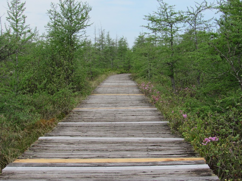 Tourbières-de-Lanoraie Ecological Reserve | Lanoraie, QC J5T 3K6, Canada