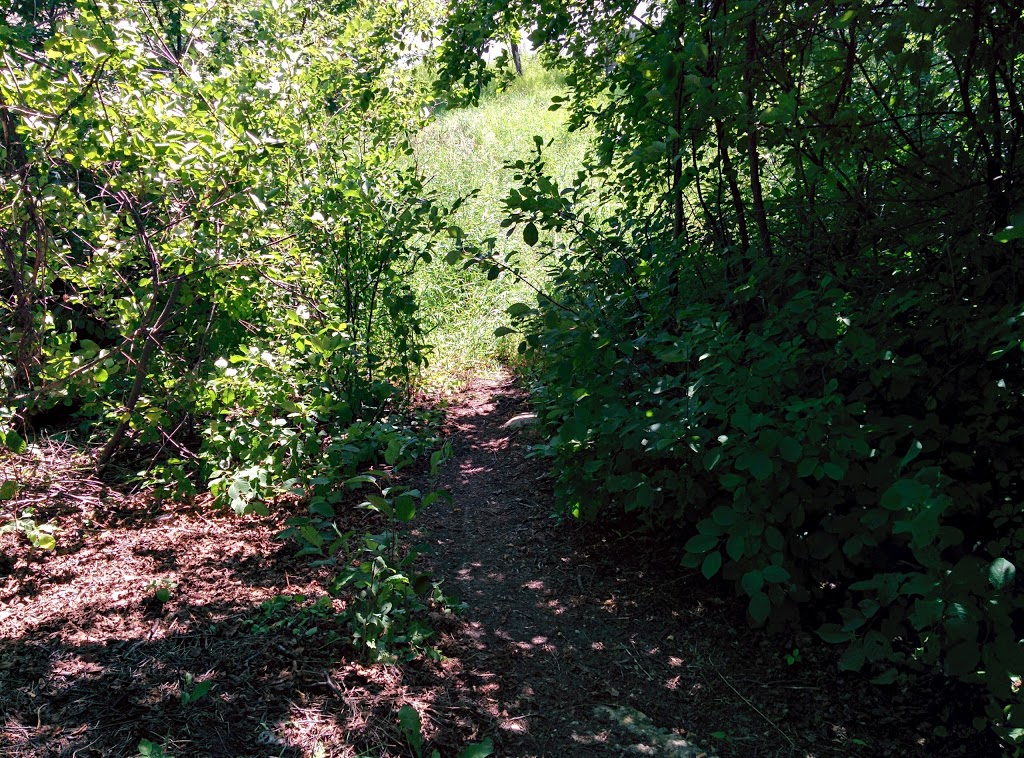 Westwood Green | Assiniboine Ave, Winnipeg, MB R3K 0B1, Canada